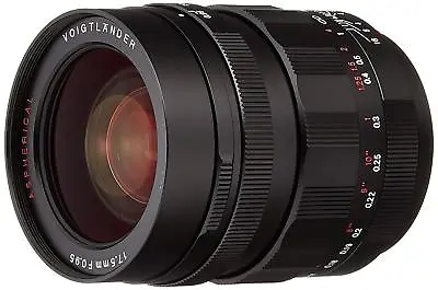 Voigtlander Single Focus Lens NOKTON 17.5 Mm F 0.95 Micro Four Thirds EMS W/T • $689.81