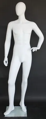 6 Ft 2 In Male Abstract Head Mannequin Matte White Torso Form Mannequin SFM64EWT • $279.99