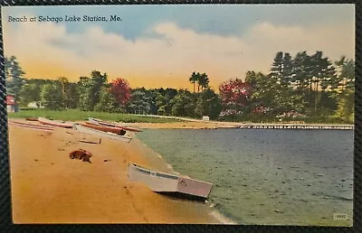 Beach At Sebago Lake Station ME Vintage Postcard • $7.99