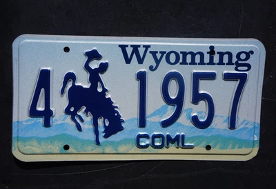 $14.99 • Buy WYOMING License Plate - Nice Original # 1957