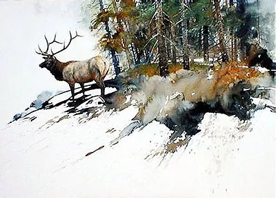 High Country Elk By Morten Solberg Wildlife Animals SN LE Canvas Giclee 24x32 🦌 • $349