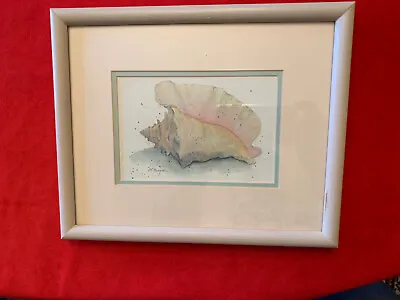 Sea Shell D. Morgan Signed Art Print • $18.50