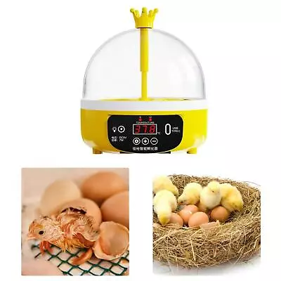 Egg Incubator 4 Eggs Egg Turner Tray Digital Poultry For Chicken Birds Quail • £21.32