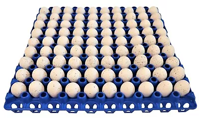 12 Rite Farm Products 90 Egg Plastic Trays Quail Pigeon Dove Bird Flat Carton • $34.99