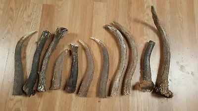 11 Pieces ELK ANTLERS Knife Handles Taxidermy Deer Mule Whitetail Sheds Dog Chew • $85