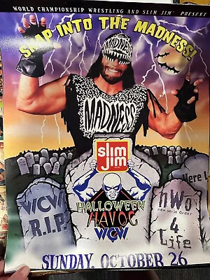 11x14 Poster WCW PPV Poster Halloweeen Havoc Macho Man Randy Savage NWO • $5.50