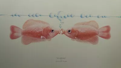 £19.95 • Buy Bubbles By Warwick Higgs Fish