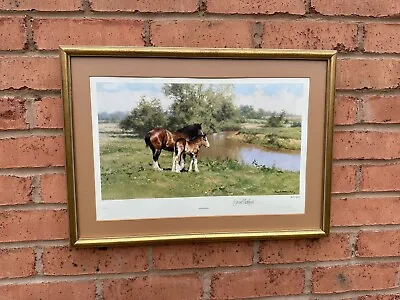 David Shepherd Limited Edition Signed Framed Print HIGH NOON 305/850 Horse Foal • £50