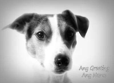 Personalised Jack Russell Black And White Art Card (Birthday Christmas) • £3.76