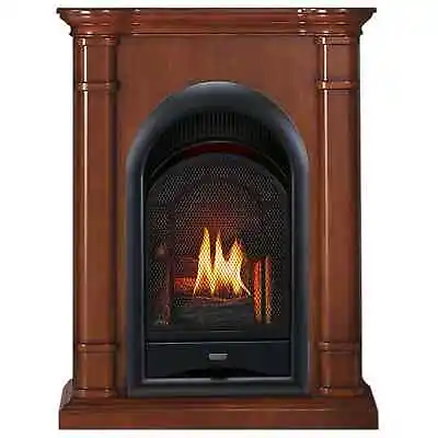 ProCom Dual Fuel Vent Free Gas Fireplace System - 15000 BTU PCS150T-3AS • $579.99