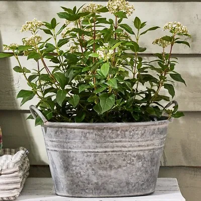 Galvanised Metal Tub Planter Round Garden Home Flower Plant Pot Bucket • £36.99