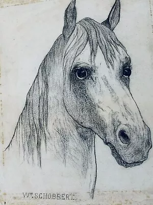 William Schobbert Victorian Pencil Drawing Horses Head Signed 11x9 • £15