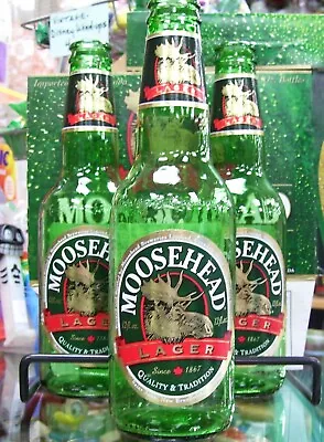 Vintage MOOSEHEAD LAGER BEER BOTTLE 12oz. With All The Labels • $11.50