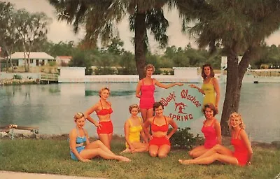 Spring Of The Mermaids Weeki Wachee Florida FL C1950 Postcard • $19.95