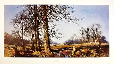 David Shepherd  March Sunlight  English Countryside Blue Fine Art Print • £26.99