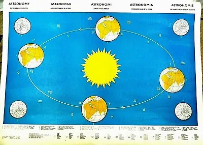 Vintage Astronomy & Astrology Poster In 5 Languages Earth's Annual Revolution • $110.40