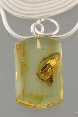 Fossil Insect BEETLE Genuine BALTIC AMBER Silver Chain Pendant 4g 221103-14 • $44.99