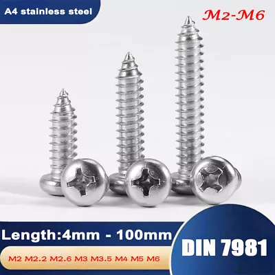 M2 - M6 Phillips Pan Head Self  Tapping Wood Screws DIN 7981 A4 Stainless Steel • £1.26