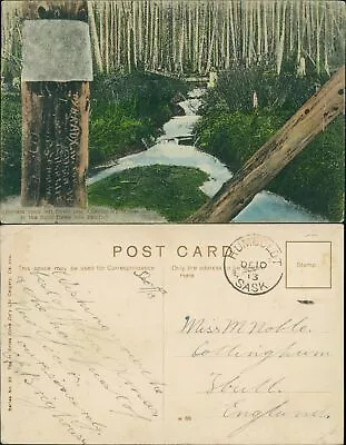 Stream On North American Continental Divide 1913 H Enlda Olive Coy • $11.92