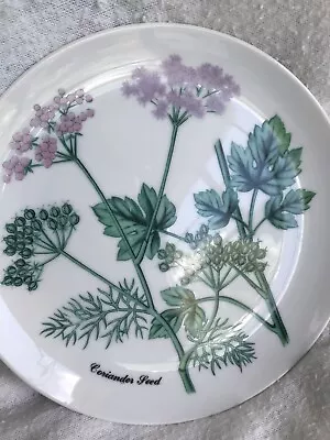 HORCHOW Japan Coriander BOTANICAL Painting HERB SEED 7 5/8  China PLATE • $10