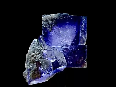 Clear Fluorite With Purple Zoning - AUGLAIZE OHIO   EX  Dr.John Medici Specimen • $24.99