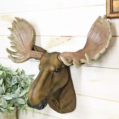 North American Granddaddy Bull Moose With Antlers Trophy Head Wall Decor 15 L • $49.99