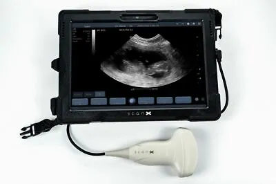 ScanX Veterinary Ultrasound Machine & Transducer. Ideal For Pregnancy Scanning. • £3290