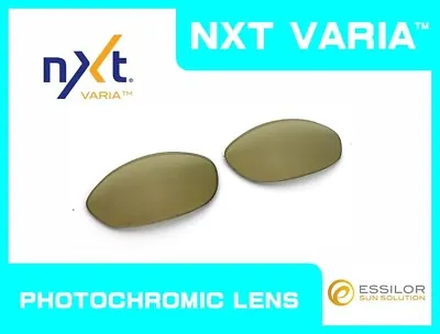 $115.50 • Buy LINEGEAR NXT Photochromic Lens For Oakley Splice - Gold Varia [SP-NXTV-GV]