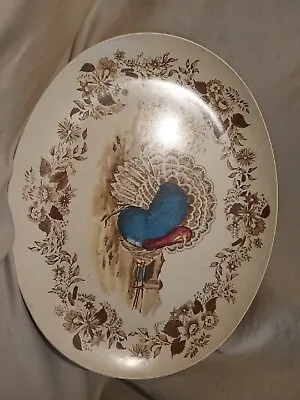 Vintage Royal Nottingham Melmac Oval Serving Tray Turkey Platter 10” • $10