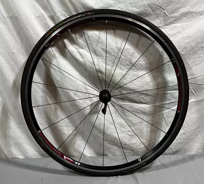 Bontrager Race 18-Straight Pull Spoke 622x15/700C Front Wheel Continental Tire • $64.95