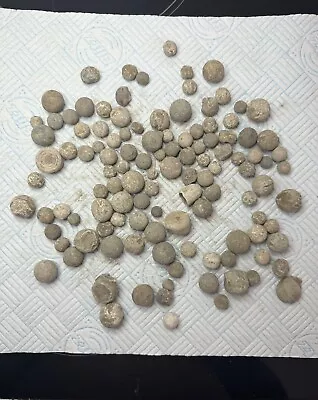 Musket Balls And Lead Shots Metal Detecting Finds 1.5kg • £17.99