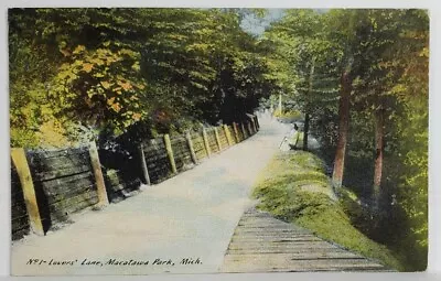 Macatawa Michigan Lover's Lane 1912 Holland Mich To Charlevoix Postcard T13 • $3.95