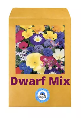  1500 SEEDS Dwarf WILD FLOWER MEADOW Wild Scented Bee Mixed Meadow NO GRASS  • £3.99