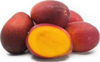 5+ Miyazaki Red Mango Seeds (Mangifera Indica) 100% Original • $240