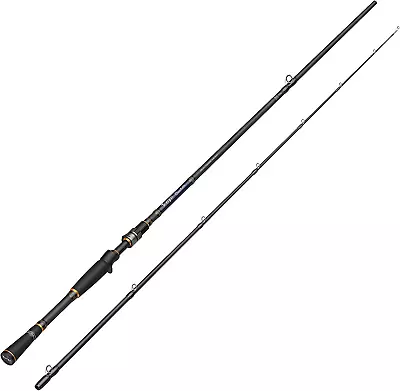 Resolute Baitcasting RodToray 30 Ton Carbon Fiber Fishing Rods With Fuji Reel S • $45.99