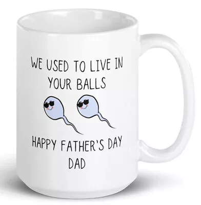 Funny Birthday Mug For Dad We Used To Live In Your Balls Father's Day Birthday • $16.99