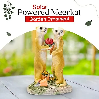 Garden Ornament Solar Powered Decorative Meerkat Light Up Valentine Gift • £12.95