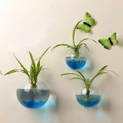 1x Wall Mounted Fish Tank Bowl Bubble Aquarium Hanging Bet Hot Goldfish K5J8 • $8.26