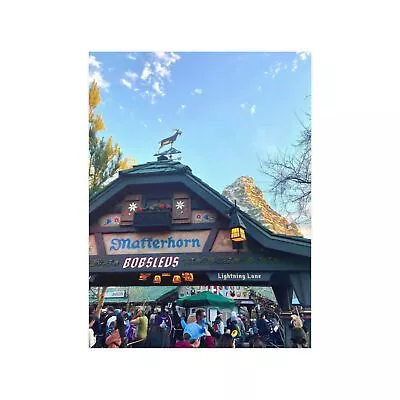 Matterhorn Bobsleds Ride Line: Disneyland Photography Satin Poster • $9.95