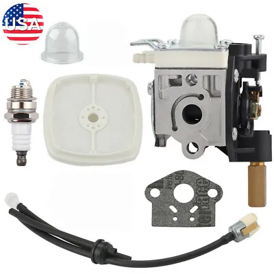 Carburetor Kit For ECHO SRM-230 SRM200 SRM201 SRM210 Trimmer Zama RB-K70 RB-K75 • $14.01