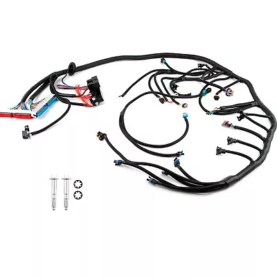 Standalone Wiring Harness For T56 For 4.8/5.3/6.0l Dbc Ls Swap Ls1 1997-2006 • $79.70