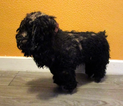 £85 • Buy Antique Victorian Taxidermy Toy Dog Mid 19th Century Stuffed Display Pull Along
