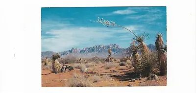 Organ Mountains / Desert Scene / Near Las Cruces New Mexico 1951 / Rio Grande  • $1.20