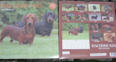 Deluxe Dachshund Calendar 2022 Wall Mount Spiral Bound Glossy Dog Pictures • £0.99