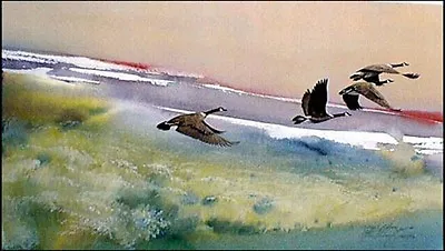 Morten E. Solberg - Morning Mist - Canada Geese - Limited Edition Print • $135