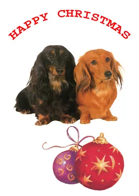 Longhaired Dachshund Single Dog Print Greeting Christmas Card • $3.11