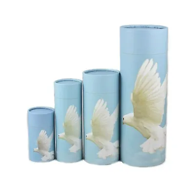 £19.99 • Buy Scatter Tube Urn For Ashes Large Medium Small Human Pet Biodegradable Dove 