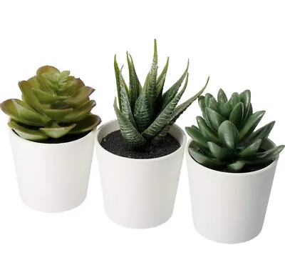 IKEA 203.953.31 FEJKA Mini Artificial Succulent Desk Plants In Pots 6 Cm - CP • £10