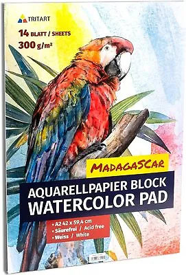 A2 Watercolour Paper Painting Pad 300gsm Acid Free Watercolour Artist Pad • £28.99