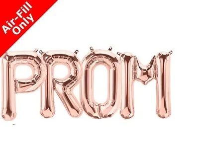 £15.99 • Buy 16  PROM 2020 Party & Decoration Balloon Banner Kit Air Fill Only - Rose